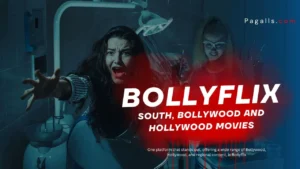 Read more about the article Bollyflix: The South, Bollywood and Hollywood Movies