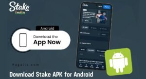 Read more about the article Stake App: Easy Login Process To Acess In Stake App 2024